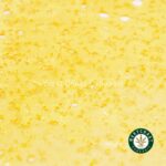 Premium Shatter - Orange Sherbet (Hybrid) - West Coast Cannabis