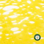 Premium Shatter - Scooby Snacks (Hybrid) - West Coast Cannabis