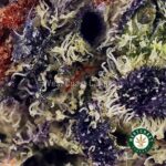 Purple Afghan Kush AAAA - West Coast Cannabis