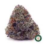 Purple Afghan Kush AAAA - West Coast Cannabis
