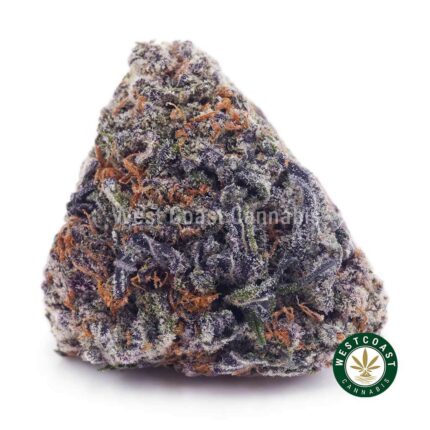 Purple Haze AAA - West Coast Cannabis
