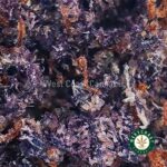Purple Kush For Sale Online From BC. #1 Online Marijuana Dispensary.