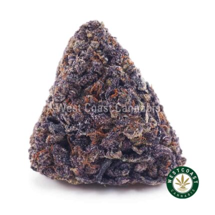 Purple Kush For Sale Online From BC. #1 Online Marijuana Dispensary.