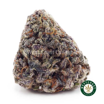 Purple OG AAA - West Coast Cannabis