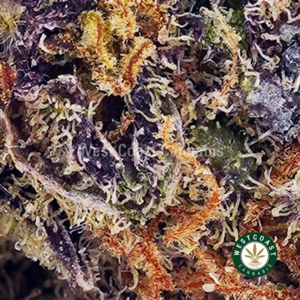 Purple Thunder Fuck AAA - West Coast Cannabis