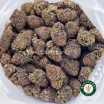 Purple Thunder Fuck AAA - West Coast Cannabis