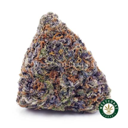 Purple Thunder Fuck AAA - West Coast Cannabis