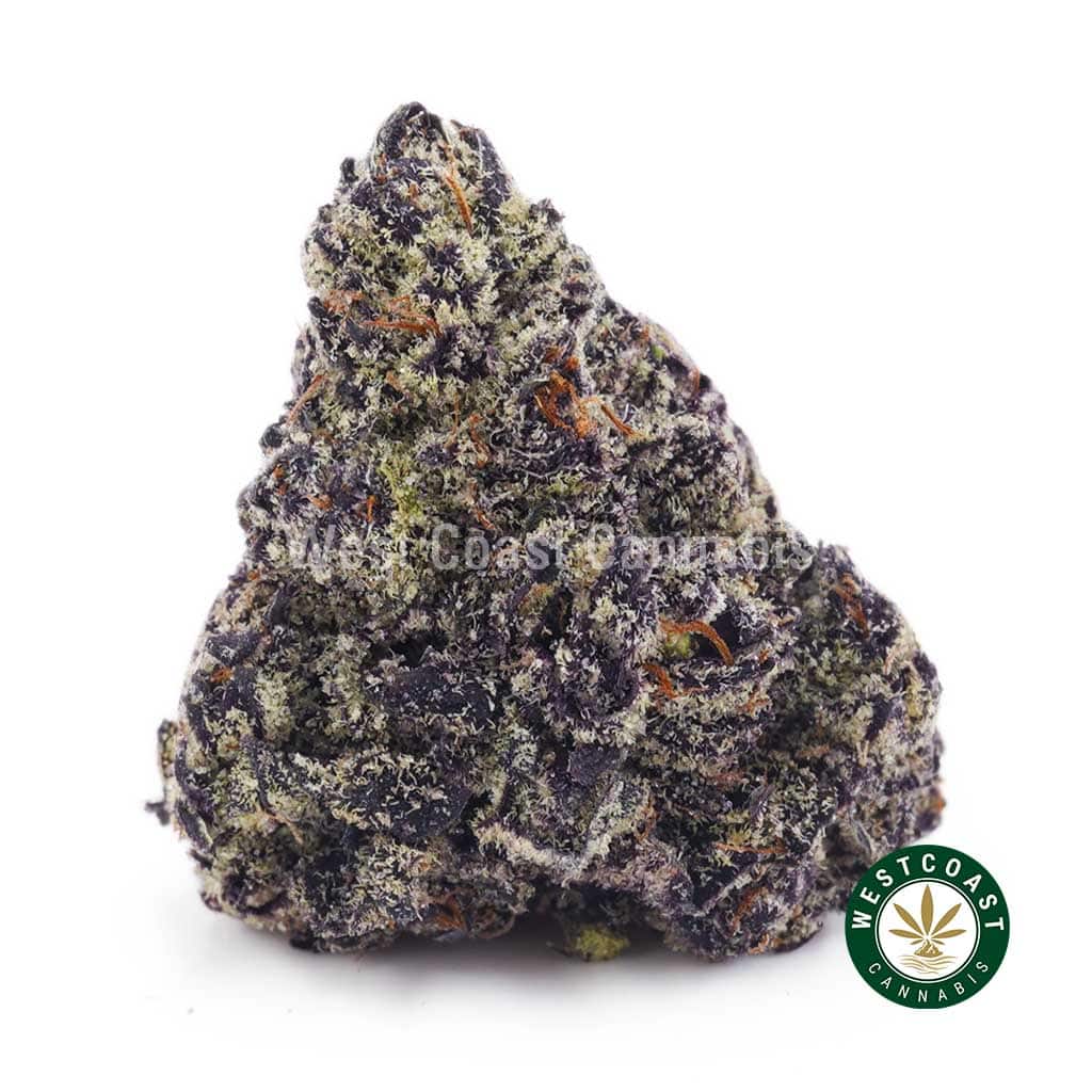Purple Trainwreck AAAA - West Coast Cannabis Purple Trainwreck AAAA - West Coast Cannabis