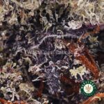 Purple Unicorn AAAA - West Coast Cannabis