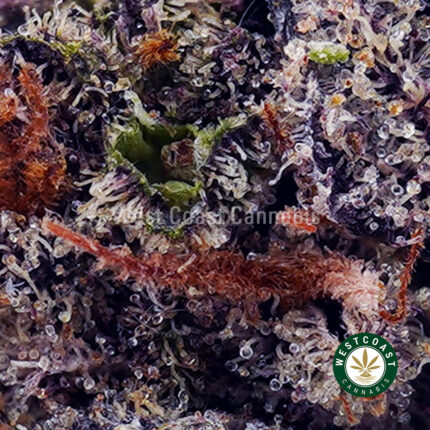 Purple Widow AAA - West Coast Cannabis