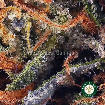 Rockstar AAA - West Coast Cannabis
