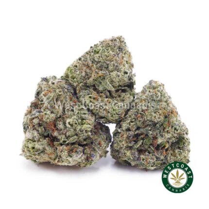 Scooby Snacks Popcorn Nugs. Buy Weed Online in Canada Here.