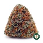 Shiva Skunk AA - West Coast Cannabis