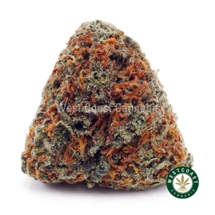 Shiva Skunk AA - West Coast Cannabis