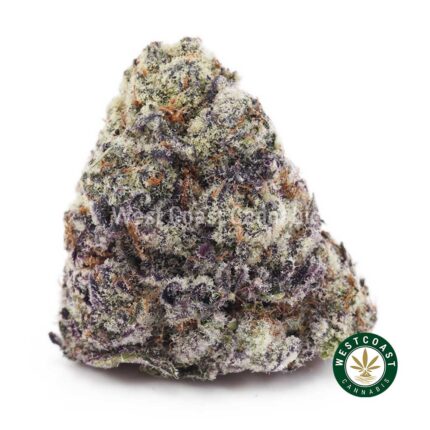 Shop Apple Fritter AAAA+ Online