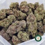 Shop Blueberry CheeseCake AAAA+ Online in Canada