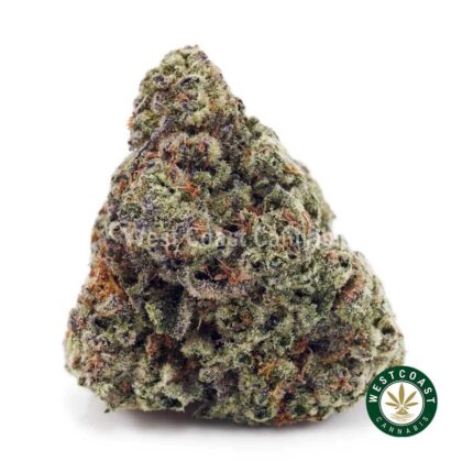 Shop Blueberry CheeseCake AAAA+ Online in Canada