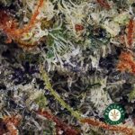 Shop Dank Kush Breath AAAA+ Online
