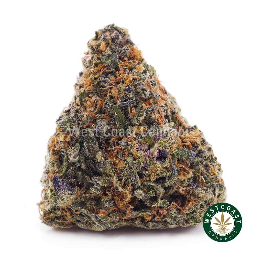 Shop Hindu Kush AA Online in Canada From Our Dispensary Shop Hindu Kush AA Online in Canada From Our Dispensary