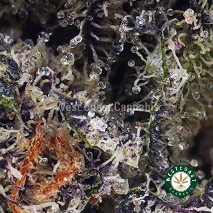 Shop Vanilla Ice Strain Online In Canada