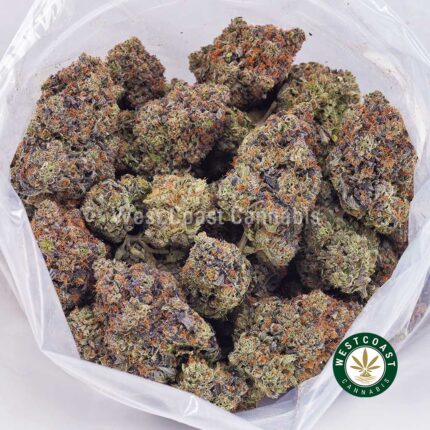 Shop Vintage Blueberry AAAA+ Online