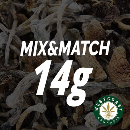 Shroom - Mix and Match 14g - West Coast Cannabis