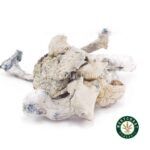 Shrooms - Albino Extra Terrestrial - West Coast Cannabis
