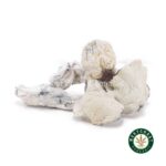 Shrooms - Albino Extra Terrestrial - West Coast Cannabis