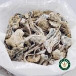 Shrooms - Albino Extra Terrestrial - West Coast Cannabis