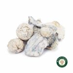 Shrooms - Albino Makilla - West Coast Cannabis