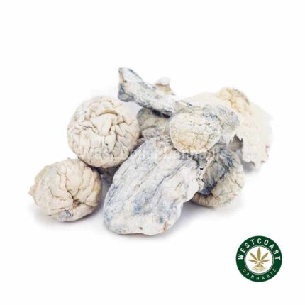 Shrooms - Albino Makilla - West Coast Cannabis