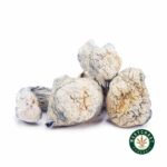 Shrooms - Albino Makilla - West Coast Cannabis