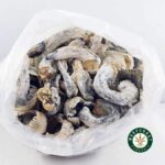 Shrooms - Albino Makilla - West Coast Cannabis