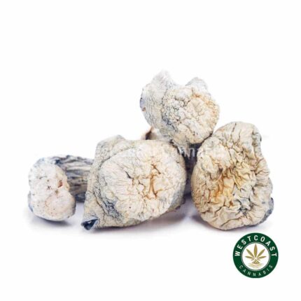 Shrooms - Albino Makilla - West Coast Cannabis