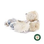 Shrooms - Albino Teacher - West Coast Cannabis