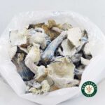 Shrooms - Albino Teacher - West Coast Cannabis
