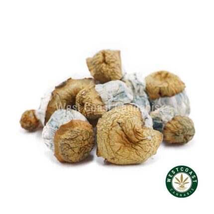 Shrooms - Avalanche - West Coast Cannabis