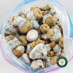 Shrooms - Avalanche - West Coast Cannabis