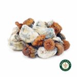 Shrooms - Blue Pulaski - West Coast Cannabis