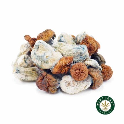 Shrooms - Blue Pulaski - West Coast Cannabis