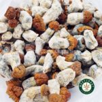 Shrooms - Blue Pulaski - West Coast Cannabis