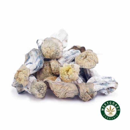 Shrooms Exotic - Flipper - West Coast Cannabis