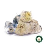 Shrooms Exotic - Flipper - West Coast Cannabis