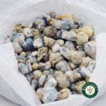 Shrooms Exotic - Iceberg - West Coast Cannabis