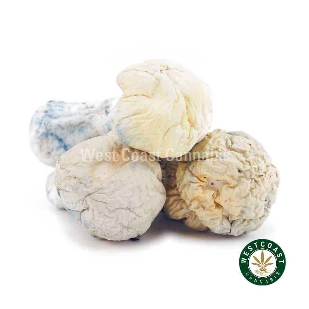 Shrooms Exotic - Iceberg - West Coast Cannabis Shrooms Exotic - Iceberg - West Coast Cannabis
