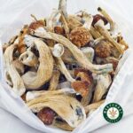 Shrooms - GC Thrasher - West Coast Cannabis