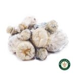 Shrooms - Leucistic SV 13 - West Coast Cannabis