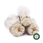 Shrooms - Leucistic SV 13 - West Coast Cannabis