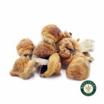 Shrooms - Melmac Penis Envy - West Coast Cannabis