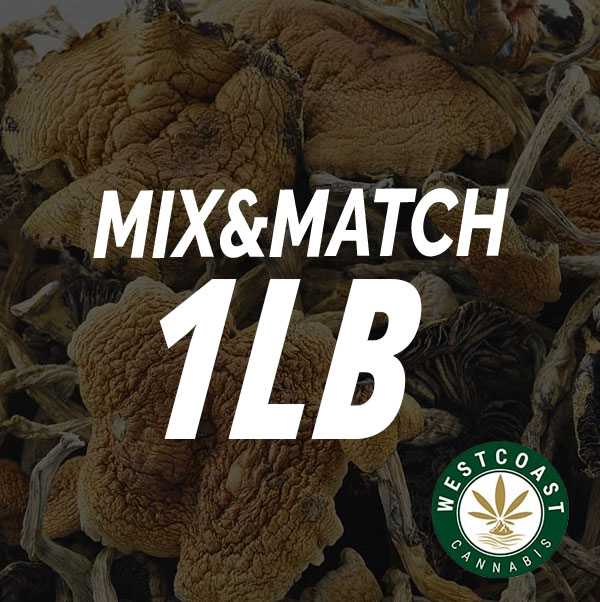 Shrooms - Mix and Match Full Pound - West Coast Cannabis Shrooms - Mix and Match Full Pound - West Coast Cannabis